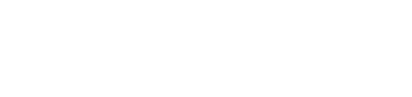 PALAZZOLI